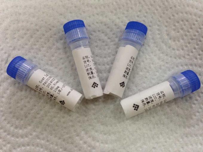 Anti - Tetrahydrocannabinol Custom Monoclonal Antibodies Animal Antibody