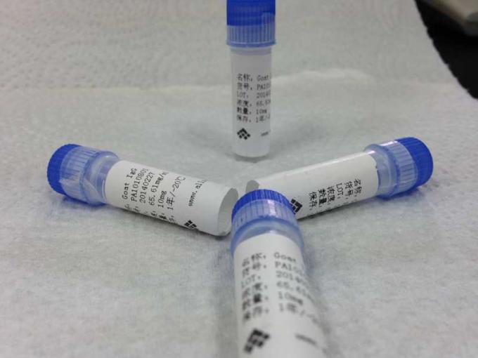 Goat anti Mouse-IgG Polyclonal Antibody Infectious Disease For Laboratory