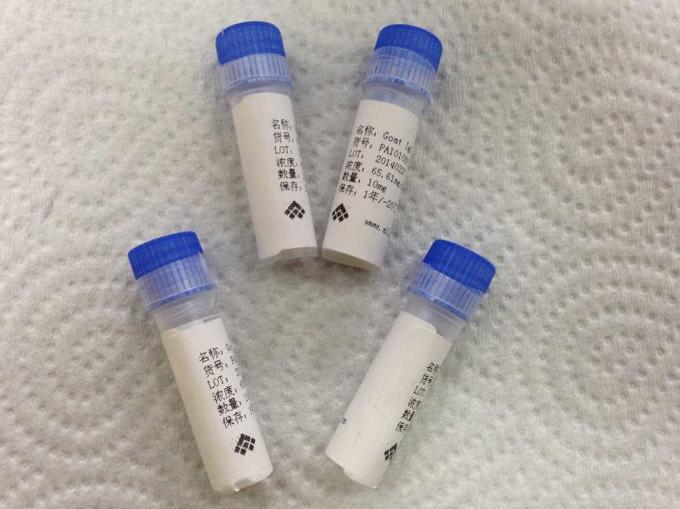 Sheep Anti - HBsAg Polyclonal Antibody Infectious Disease For IVD Research