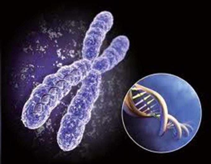 Anti - Ketamine 100ng Mouse Monoclonal Antibodies For Vitro Research