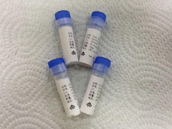 Goat anti - malaria HRPII Polyclonal Antibody Infectious Disease for Pharmaceutical