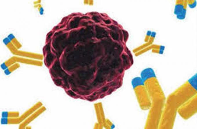 Mouse anti-Benzodiazepines Mab Custom Monoclone Antibody Drug of Abuse for IVD research