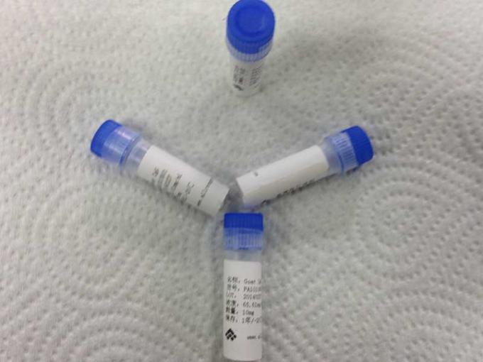 Medical IgG Goat Polyclonal Anti body Custom Polyclonal Antibodies For Vitro Diagnostic