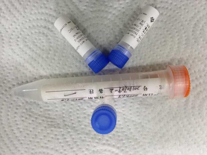 Mouse anti- Methamphetamine Mab Monoclone Antibody Drug of Abuse