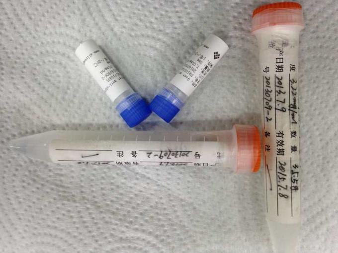 Purified Anti - Amphetamine Hybridoma Monoclonal Antibody Drug of Abuse