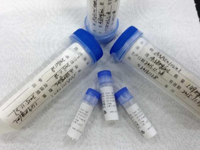 High Sensitivity HSV-1 Recombinant Antigens for Vitro Diagnostic Research
