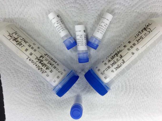 PV-ADL Malaria Recombinant Gene Antigen Infectious Disease