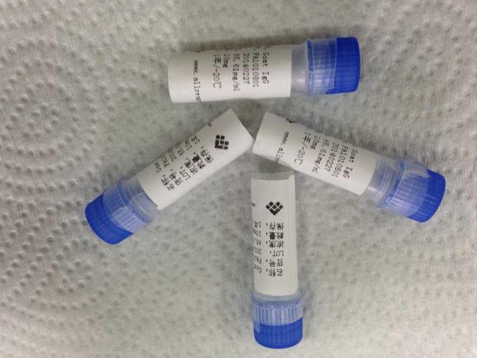 Tuberculosis Purified Recombinant Protein For Membrane Assay