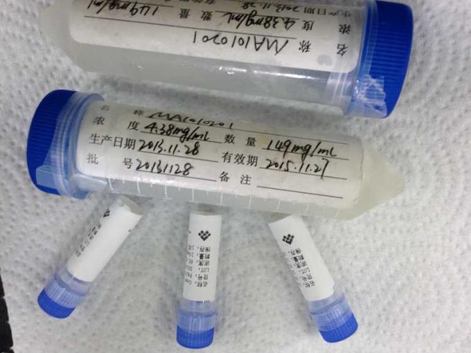 Mouse anti - Human RBC Mab-2 Hybridoma Monoclonal Antibody Drug of Abuse for IVD Production