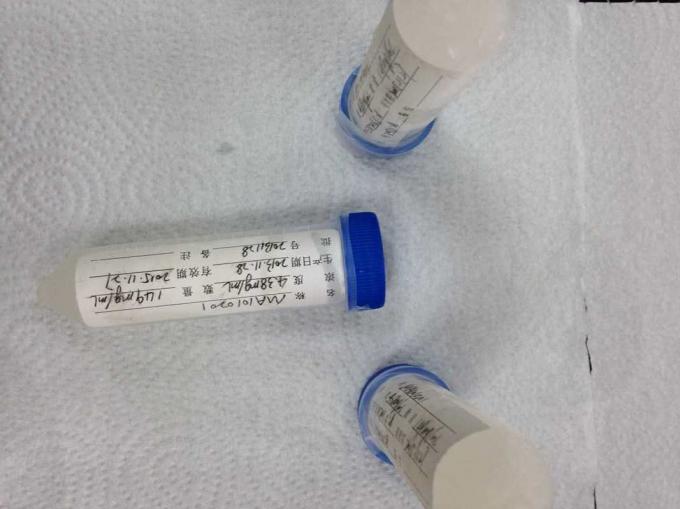 Mouse anti - Human RBC Mab-1 Hybridoma Monoclonal Antibodies