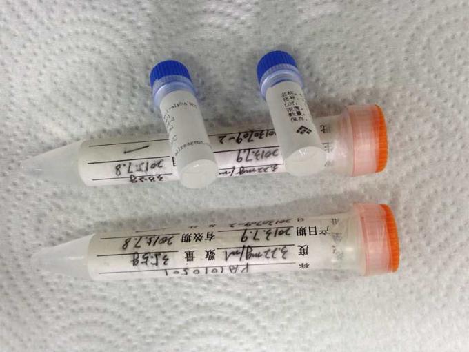Medical Anti - Alpha HCG Hybridoma Monoclonal Antibody For IVD Research