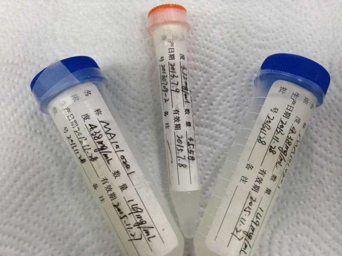 Mouse Anti - HBeAg Mab-2 Hybridoma Monoclonal Antibody For Membrane Assay