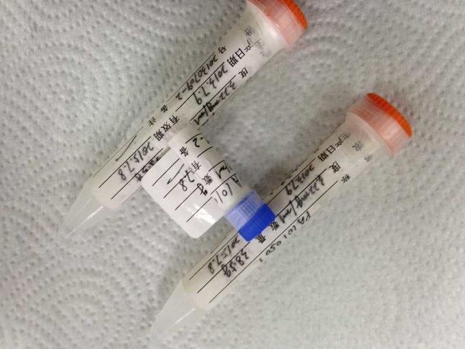 Liquid Hybridoma Monoclonal Antibody