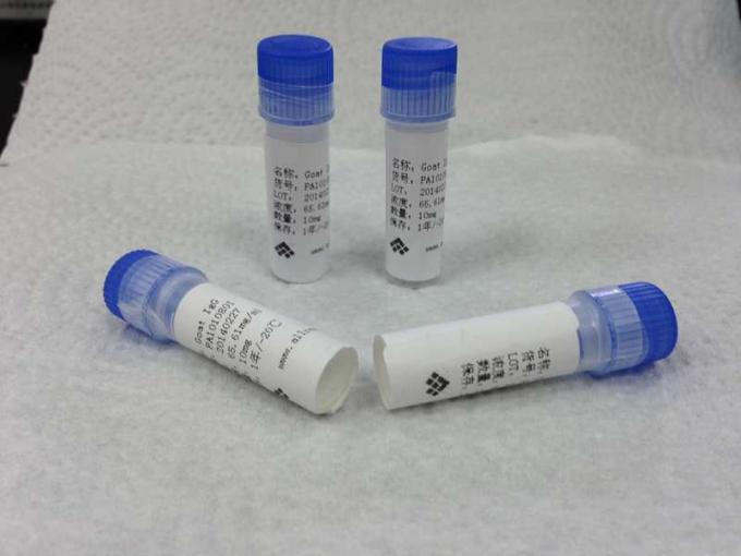 Medical anti - beta HCG Mab Mouse Mouse Monoclonal Antibody High Sensitivity