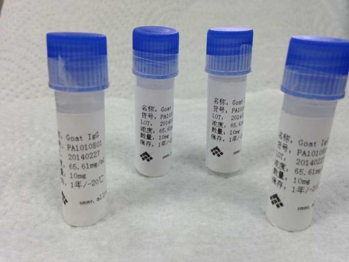 Purified Mouse Monoclonal Antibody