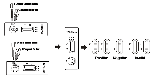 tetanus toxin