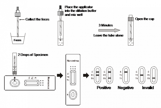 Feces Sesantive Norovirus Rapid Test Kits High Specificity For human