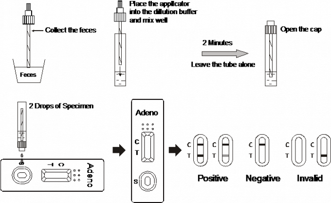 Vibrio cholerae O1 (VC O1) Rapid Test Cassette (Feces) With CE