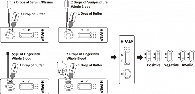 H - FABP Rapid Test Cassette To Detect Heart - Type Fatty Acid - Binding