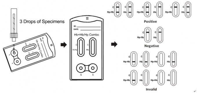Haptoglobin Hemoglobin Combo Rapid Test Kits Rapid Std Testing Kits
