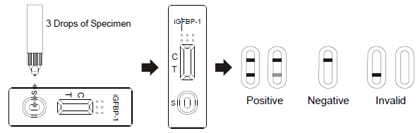 Stable Rapid Allergen Test Kits Insulin Like Growth Factor Binding Protein
