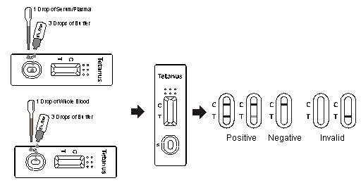 tetanus toxin