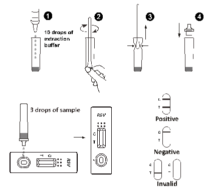 Qualitative Detection Lateral Flow Immunochromatographic Assays Rapid Test For Respiratory Syncytial Virus Antigen