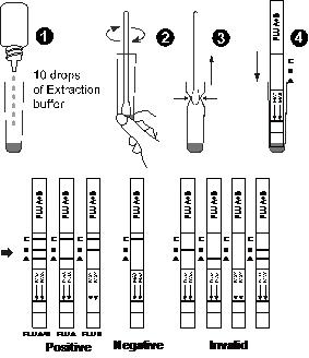immunochromatography