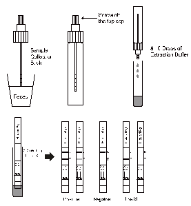 H.Pylori Antigen Rapid Test Dipstick Lateral Flow Immunochromatographic Assays