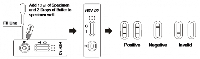 Lateral Flow Immunochromatographic Assays HSV 1/2 IgG Rapid Test Cassette For Serum Or Plasma