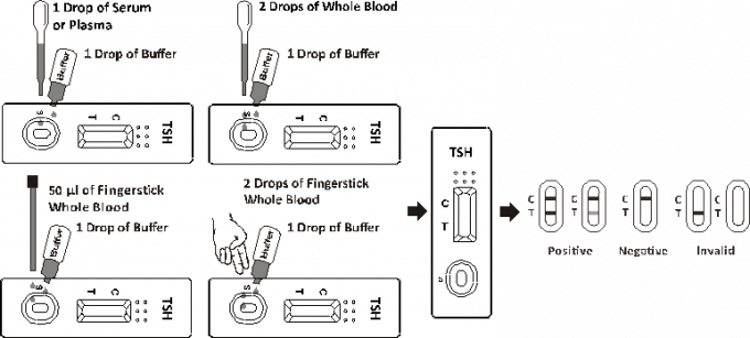 Easy to used TSH Rapid Test Cassette in Whole Blood / Serum / Plasma
