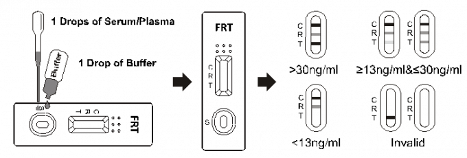 Ferritin Semi Quantitative Rapid Test Cassette In Whole Blood / Serum / Plasma