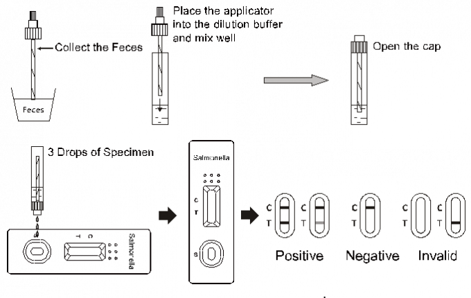 Lateral Flow Assay AllTest Salmonella Typhi Antigen Rapid Test Cassette ISTY -602