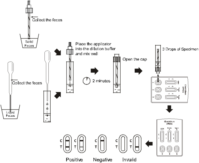 Clostridium difficile GDH + Toxin A + B Combo Rapid Test Cassette Feces