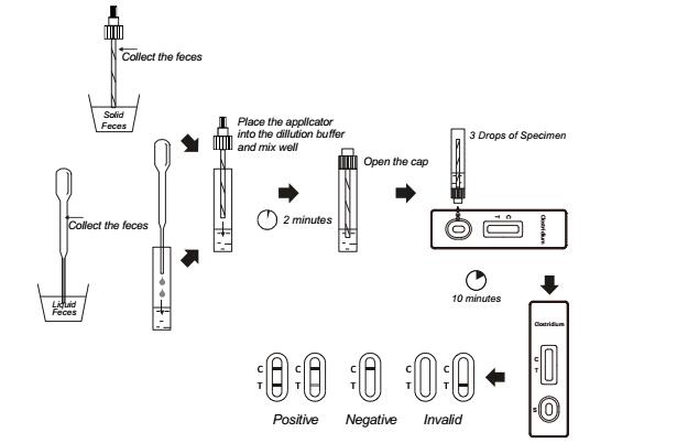Infectious disease testing Clostridium difficile GDH Rapid Test Cassette