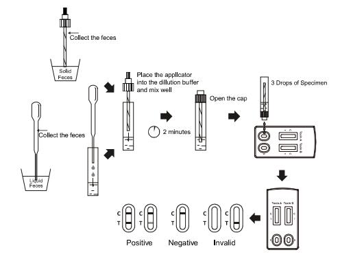 CE Lateral Flow Immunochromatographic Assays Clostridium difficile Toxin A+ Toxin B Combo Rapid Test Cassette