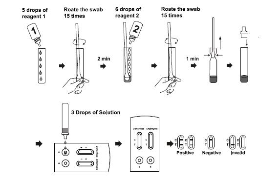 Gonorrhea And Chlamydia Combo Rapid Test Kits IGC -525 Easy To Use