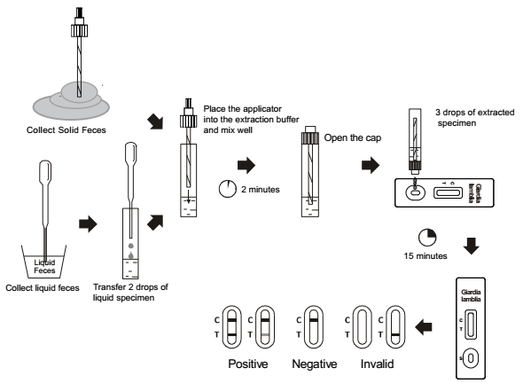 Candida albicans Rapid Test with Overall Accuracy 97.6% With CE