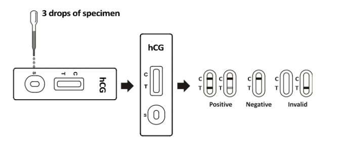 Home / Hospital Rapid Test Kits HCG One Step Pregnancy Test Strip