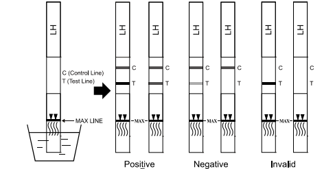 Home use Luteinizing Hormone Urine Rapid Test Kits OEM High Sensitivity / Speed