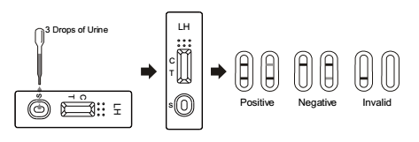 Home use Luteinizing Hormone Urine Rapid Test Kits OEM High Sensitivity / Speed