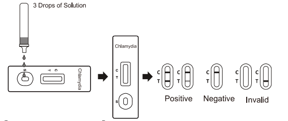Home Chlamydia Rapid Testing Kits CE Approved Cassette Blood Test Kit