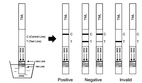 50 ng/ml Urine Drug Abuse Test Kit , Tramadol Diagnosis Kits For TML Rapid Test