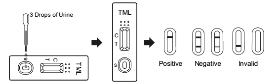 50 ng/ml Urine Drug Abuse Test Kit , Tramadol Diagnosis Kits For TML Rapid Test