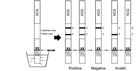 Cow Cattle One Step Pregnancy Test Strip /Cassette With Accuracy 99.8%