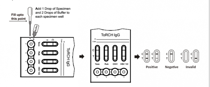 Reliable ToRCH Toxo/Rubella/CMV/HSV 1/2 IgM Rapid diagnostic Test Kit with High Sensitivity
