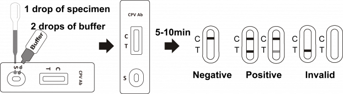 CPV Rapid Antibody Test Cassette Serum Plasma With 24 Months Self Time