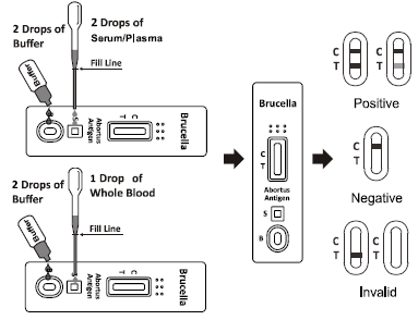 Bovine Brucella Ag Test Rapid Kit With Qualitative And Preliminary