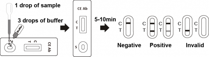 Easy Superior Rapid Test Kits Ce Ab Test Polypropylene / Polystyrene Material