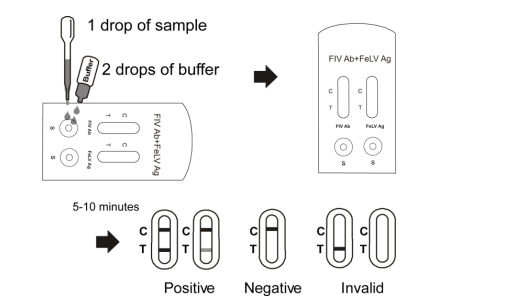 Fiv Antibody + Felv Antigen Combo Rapid Test Cassette , Rapid Drug Test Kits